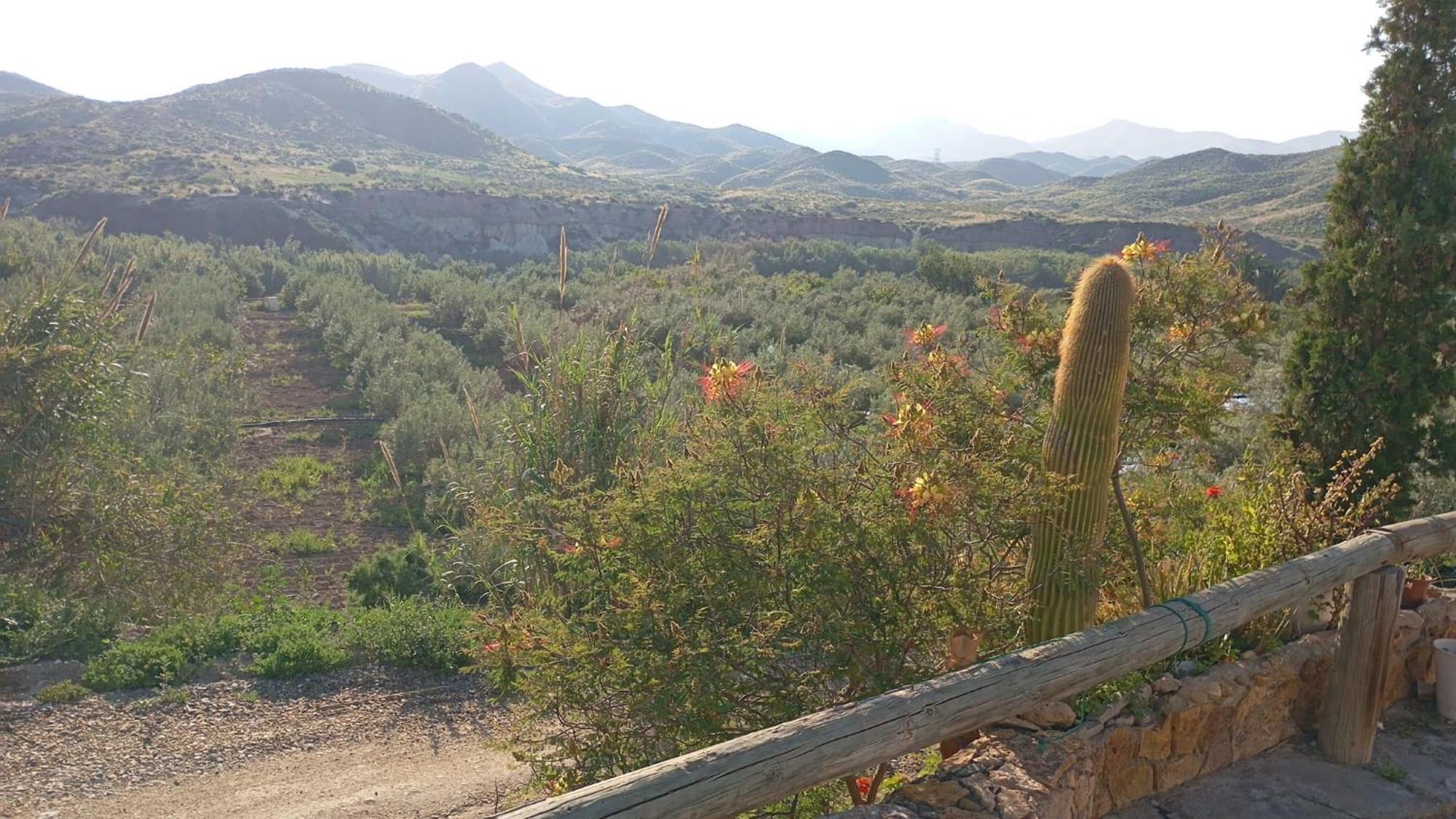 Cortijo Rural Molino El Tarahal Con Piscina Y Zonas Compartidas Экстерьер фото